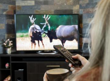 The Ultimate Guide To TV Streaming Services