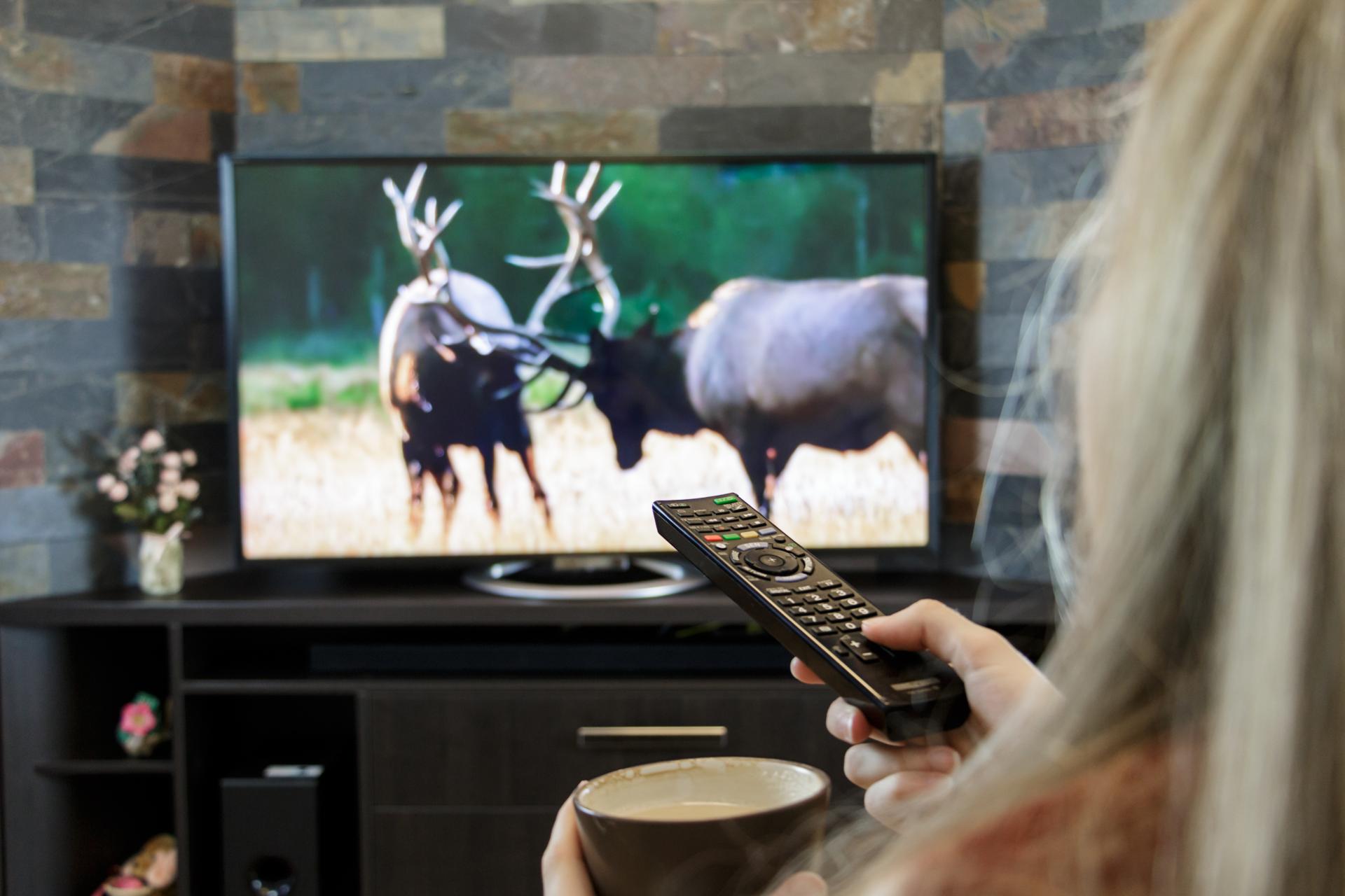 TV Streaming Services: How To Pick The Right One